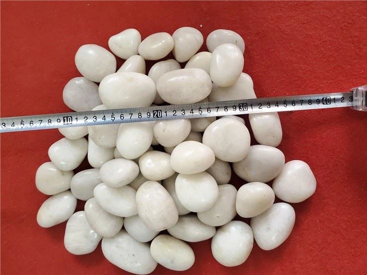 Polished White Pebbles
